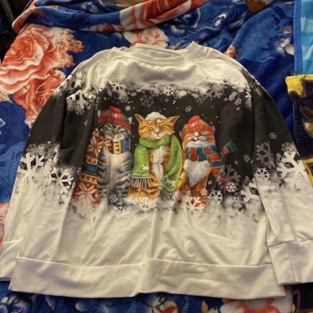 Winter cat shirt